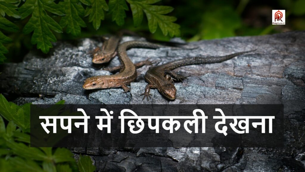 सपने में छिपकली देखना का क्या मतलब होता है? – sapne me chhipakalee dekhana